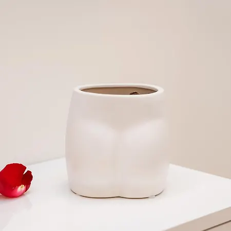 Sinfonia Lux Apartman